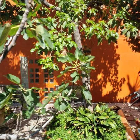 Apartamento Ex Hacienda Guanajuato Exterior foto